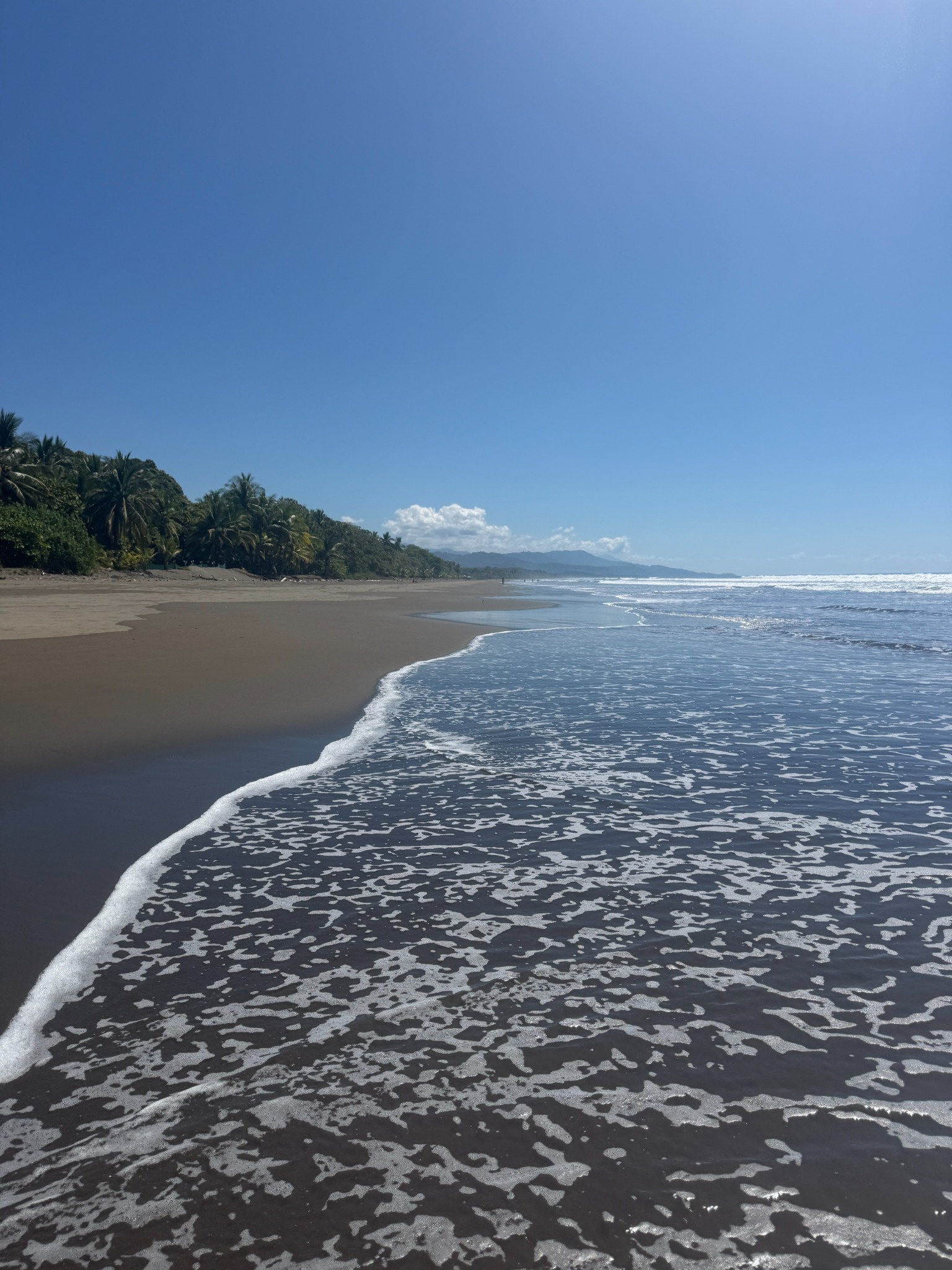 Long open stretch of Costa Ballena beach