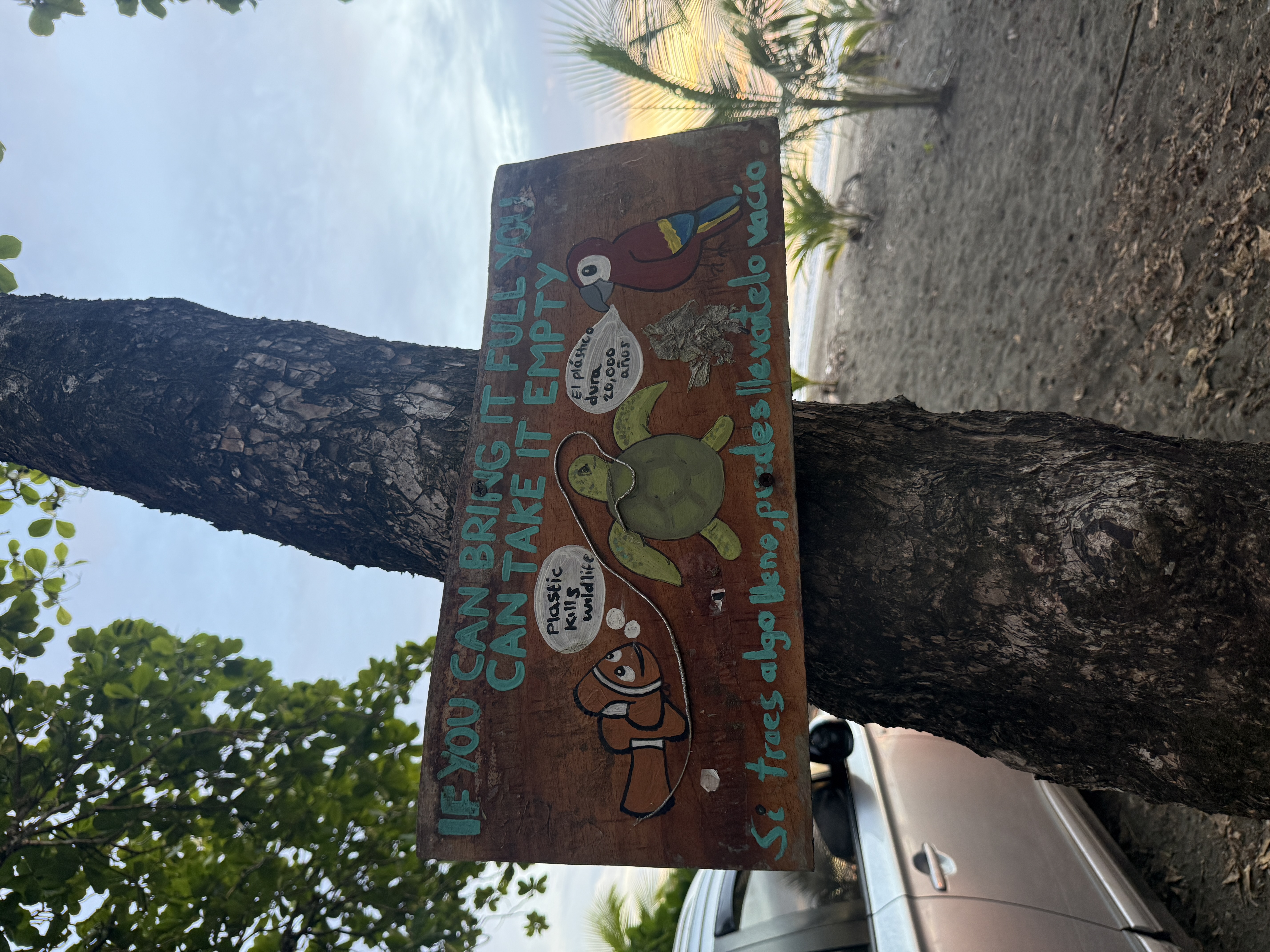 Beach cleanup sign