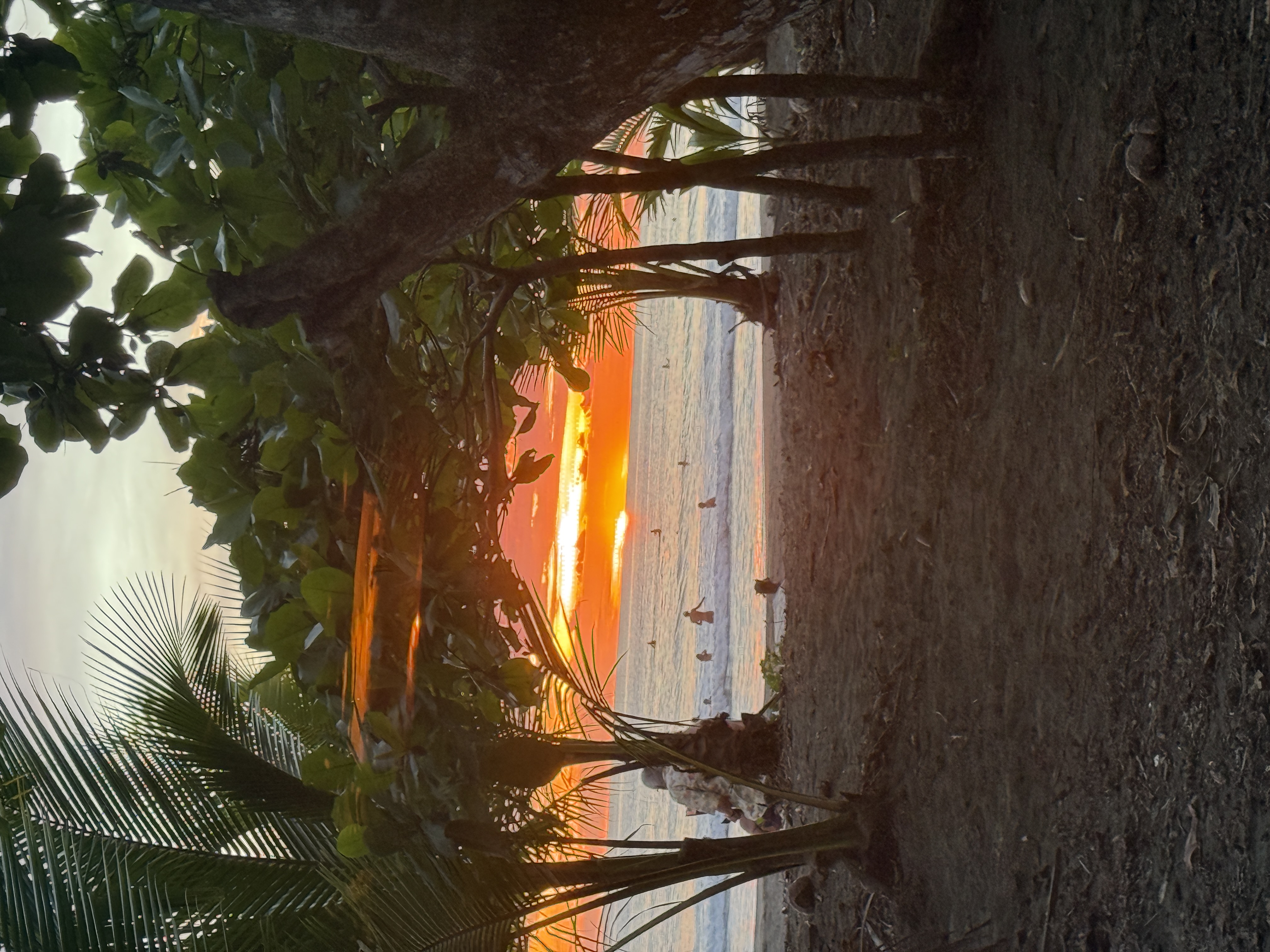 Costa Rica sunset